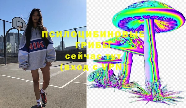 индика Алексеевка