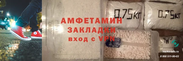 хмурый Алзамай