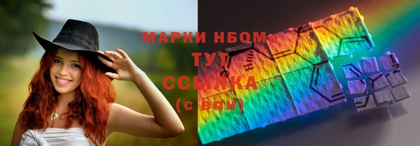 хмурый Алзамай