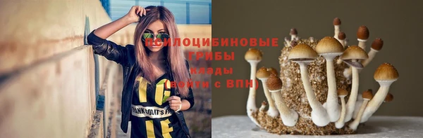 хмурый Алзамай