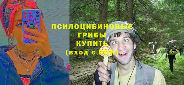 ГАЛЛЮЦИНОГЕННЫЕ ГРИБЫ Алексин